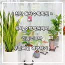 독사수학학원 | <천안독사수학학원> 독사수학학원에서 신종코로나 우한폐렴을 예방하는방법!