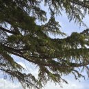 한진목장 이미지