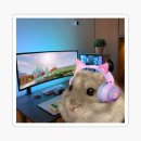 지에스 춘천본점 | 잘먹고 잘노는 일상 근황~