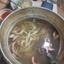 박*술 이미지