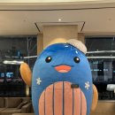 라운드리 | [울산 호텔] &#34;롯데시티호텔 울산&#34; 스탠다드 트윈룸 후기