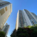 수선화세탁 이미지