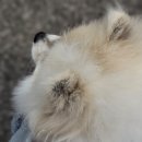 정영호내과의원 이미지