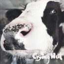 물밑목장 이미지