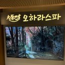 오하라타이스파 이미지