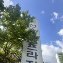 대구 수성구 선스포츠프라자 자유수영 후기