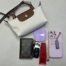 what’s in my bag - 롱샴 르플리아쥬 미니사이즈 이미지
