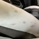 옷빼고다 이미지