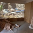 우강평야1로 이미지