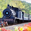 섬진강순환1 이미지