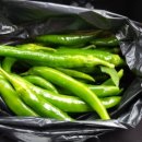 승일농장 이미지