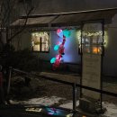 지내고탄로 | 춘천 가볼만한곳 유기농카페 크리스마스트리