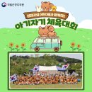 영리더스쿨어린이집 이미지