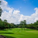 헬로우골프투어 이미지