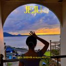 다올민박 이미지