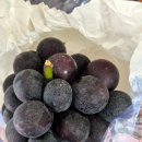 오룡축산 이미지