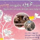 오도그 이미지
