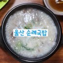 순례국밥 | 🍲 울산 순례국밥 후기｜진국 국밥과 유니치킨의 만남, 이 조합 찬성입니다🤗