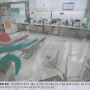 스테이나라 이미지