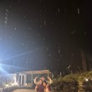 참좋은애견 | 대전 장태산 독채 숙소 추천, 내돈내산 강아지랑 편하게 쉬기 좋은 애견 동반 펜션 후기