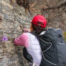 삼성마을6단지(아) 경로당 | 동강 백운산 칠족령_동강 할미꽃 청노루귀 산행 '26.3.30(월)