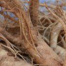 북평민속5일장 이미지