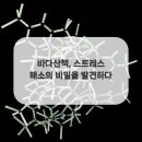 바다산책 이미지