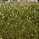 윤혜리정신건강의학과의원 이미지