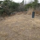 차령산맥 이미지