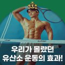 비케이 킹스코트 짐 이미지