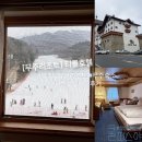 무주 덕유산 리조트 | 무주 덕유산 리조트 티롤호텔 프리미어 숙소 예약 후기