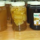 김유자농장 네이버블로그