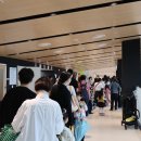 해와달유치원 | [현장스케치] 시그니처 프로그램 #2 &lt;해와 달이 된 오누이&gt; 공연 후기