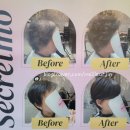 메이에르진 이미지