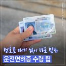 노원구청사 | 도봉운전면허시험장 운전면허증 재발급 수령 후기｜준비물·대기시간 줄이는 법
