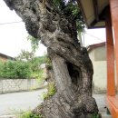 명동리 마을회관 이미지