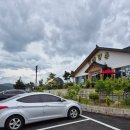 메밀촌 | 강원도 양양 맛집 내돈내산 상운 메밀촌 수육 육개장 칼국수 후기