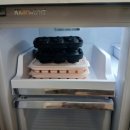 바우바우애견펜션 이미지