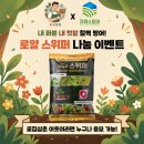시온농약친환경자재 | [공지] [꽃집삼촌 X 자재스토어] 내 화분, 내 텃밭 해충 철벽 방어! 로얄스위퍼 1kg 나눔 이벤트