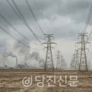한전(당진화력) 네이버블로그
