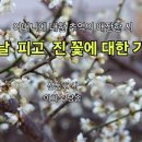 봄날 피고 진 꽃에 대한 기억 신동호 이미지