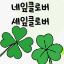 (주)네잎 이미지