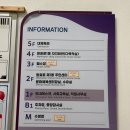도리원문화체육센터 | 용산 수영 | 용산구 문화체육센터 수영 강습 후기