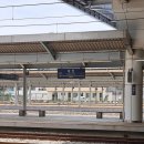 대전 여행 1박 2일 | 성심당 망고시루, 몽심, 장원갑칼국수, 진로집 바로그집 맛집 대기