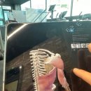 도우리피트니스 검암점 이미지