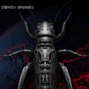 티에이시스템