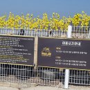 개랑나랑 이미지