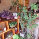 이화보양가든 이미지