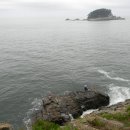 [피서 성지 순례] 바다와 해송, 기암괴석이 어우러진 부산 몰운대 (다대포해변, 꼼장어구이) 이미지