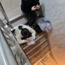 강남놀거리 이머시브 연극 괴담저장소 제일기숙학원 5인 후기